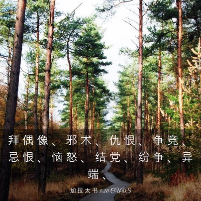 Picture 03 - 加 拉 太 书 5:20 CUVS - 拜 偶 像 、 邪 术 、 仇 恨 、 争 竞 - Bible Verse Picture