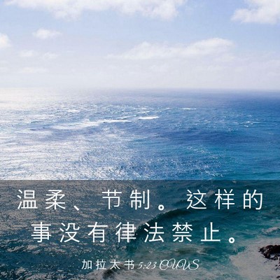 Picture 03 - 加 拉 太 书 5:23 CUVS - 温 柔 、 节 制 。 这 样 的 事 没 有 - Bible Verse Picture