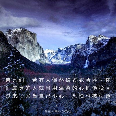 Picture 03 - 加 拉 太 书 6:1 CUVS - 弟 兄 们 ， 若 有 人 偶 然 被 过 犯 - Bible Verse Picture