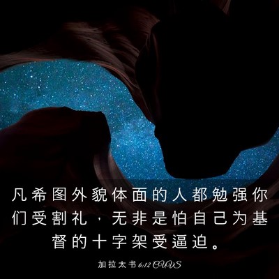 Picture 03 - 加 拉 太 书 6:12 CUVS - 凡 希 图 外 貌 体 面 的 人 都 勉 强 - Bible Verse Picture