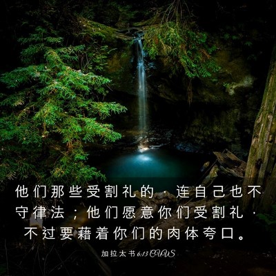 Picture 03 - 加 拉 太 书 6:13 CUVS - 他 们 那 些 受 割 礼 的 ， 连 自 己 - Bible Verse Picture