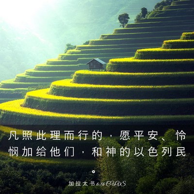 Picture 03 - 加 拉 太 书 6:16 CUVS - 凡 照 此 理 而 行 的 ， 愿 平 安 、 - Bible Verse Picture