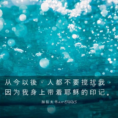 Picture 03 - 加 拉 太 书 6:17 CUVS - 从 今 以 後 ， 人 都 不 要 搅 扰 我 - Bible Verse Picture