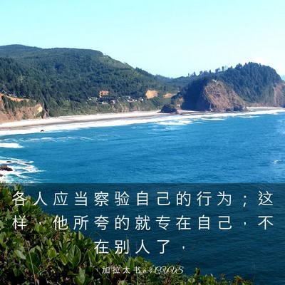 Picture 03 - 加 拉 太 书 6:4 CUVS - 各 人 应 当 察 验 自 己 的 行 为 ； - Bible Verse Picture