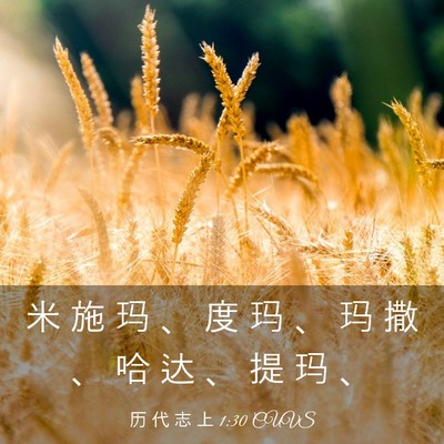 Picture 03 - 历 代 志 上 1:30 CUVS - 米 施 玛 、 度 玛 、 玛 撒 、 哈 达 - Bible Verse Picture