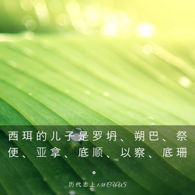 Picture 03 - 历 代 志 上 1:38 CUVS - 西 珥 的 儿 子 是 罗 坍 、 朔 巴 、 - Bible Verse Picture