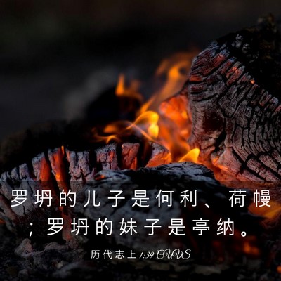 Picture 03 - 历 代 志 上 1:39 CUVS - 罗 坍 的 儿 子 是 何 利 、 荷 幔 ； - Bible Verse Picture