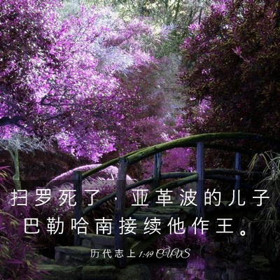 Picture 03 - 历 代 志 上 1:49 CUVS - 扫 罗 死 了 ， 亚 革 波 的 儿 子 巴 - Bible Verse Picture