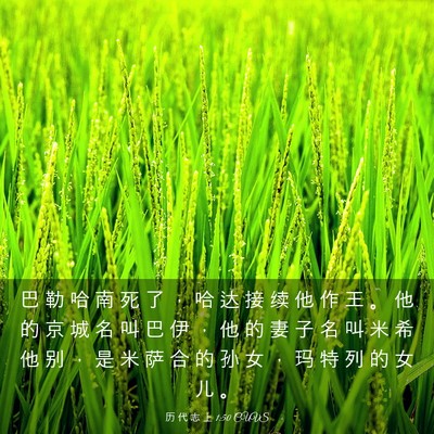 Picture 03 - 历 代 志 上 1:50 CUVS - 巴 勒 哈 南 死 了 ， 哈 达 接 续 他 - Bible Verse Picture
