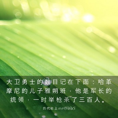 Picture 03 - 历 代 志 上 11:11 CUVS - 大 卫 勇 士 的 数 目 记 在 下 面 ： - Bible Verse Picture