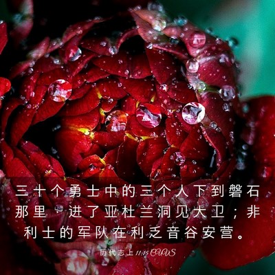 Picture 03 - 历 代 志 上 11:15 CUVS - 三 十 个 勇 士 中 的 三 个 人 下 到 - Bible Verse Picture