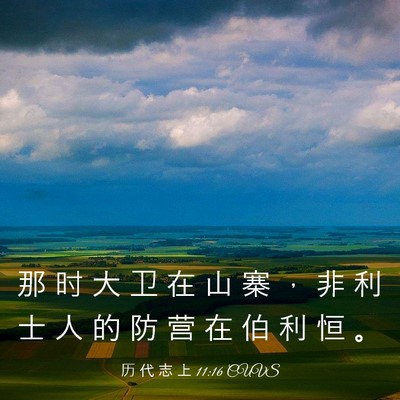 Picture 03 - 历 代 志 上 11:16 CUVS - 那 时 大 卫 在 山 寨 ， 非 利 士 人 - Bible Verse Picture