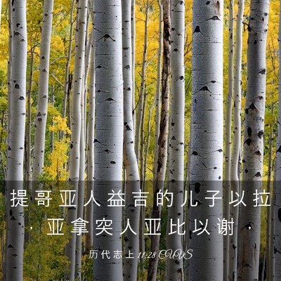 Picture 03 - 历 代 志 上 11:28 CUVS - 提 哥 亚 人 益 吉 的 儿 子 以 拉 ， - Bible Verse Picture