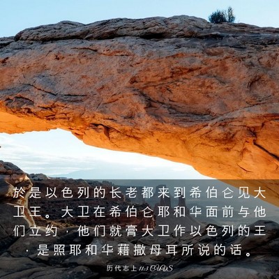 Picture 03 - 历 代 志 上 11:3 CUVS - 於 是 以 色 列 的 长 老 都 来 到 希 - Bible Verse Picture