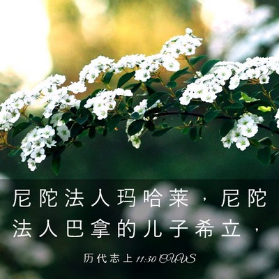 Picture 03 - 历 代 志 上 11:30 CUVS - 尼 陀 法 人 玛 哈 莱 ， 尼 陀 法 人 - Bible Verse Picture