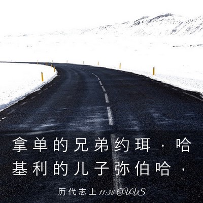 Picture 03 - 历 代 志 上 11:38 CUVS - 拿 单 的 兄 弟 约 珥 ， 哈 基 利 的 - Bible Verse Picture