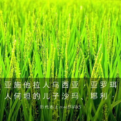 Picture 03 - 历 代 志 上 11:44 CUVS - 亚 施 他 拉 人 乌 西 亚 ， 亚 罗 珥 - Bible Verse Picture