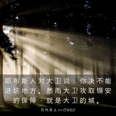 Picture 03 - 历 代 志 上 11:5 CUVS - 耶 布 斯 人 对 大 卫 说 ： 你 决 不 - Bible Verse Picture