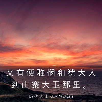 Picture 03 - 历 代 志 上 12:16 CUVS - 又 有 便 雅 悯 和 犹 大 人 到 山 寨 - Bible Verse Picture