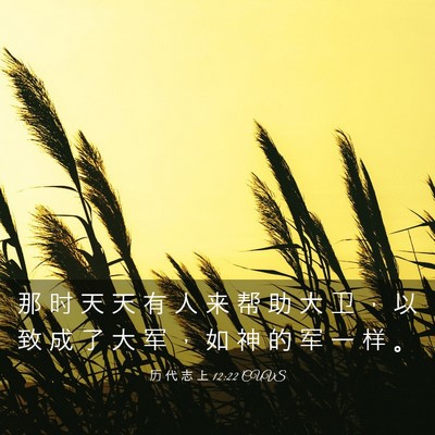 Picture 03 - 历 代 志 上 12:22 CUVS - 那 时 天 天 有 人 来 帮 助 大 卫 ， - Bible Verse Picture
