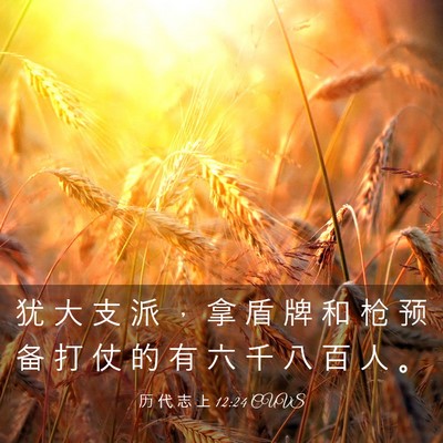Picture 03 - 历 代 志 上 12:24 CUVS - 犹 大 支 派 ， 拿 盾 牌 和 枪 预 备 - Bible Verse Picture