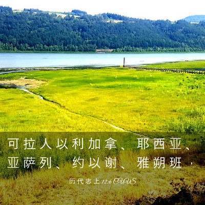 Picture 03 - 历 代 志 上 12:6 CUVS - 可 拉 人 以 利 加 拿 、 耶 西 亚 、 - Bible Verse Picture