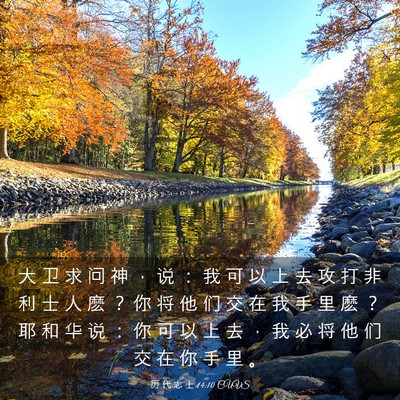 Picture 03 - 历 代 志 上 14:10 CUVS - 大 卫 求 问 神 ， 说 ： 我 可 以 上 - Bible Verse Picture