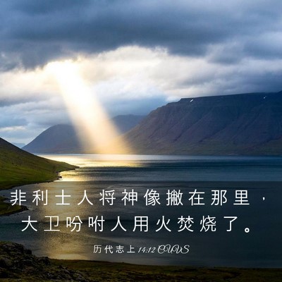 Picture 03 - 历 代 志 上 14:12 CUVS - 非 利 士 人 将 神 像 撇 在 那 里 ， - Bible Verse Picture