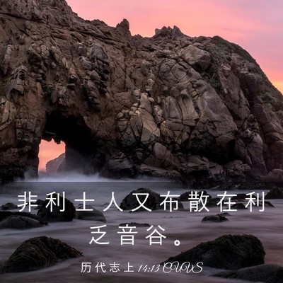 Picture 03 - 历 代 志 上 14:13 CUVS - 非 利 士 人 又 布 散 在 利 乏 音 谷 - Bible Verse Picture