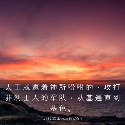 Picture 03 - 历 代 志 上 14:16 CUVS - 大 卫 就 遵 着 神 所 吩 咐 的 ， 攻 - Bible Verse Picture