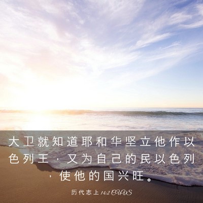 Picture 03 - 历 代 志 上 14:2 CUVS - 大 卫 就 知 道 耶 和 华 坚 立 他 作 - Bible Verse Picture
