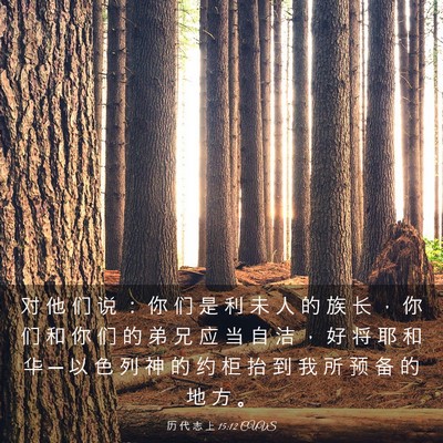 Picture 03 - 历 代 志 上 15:12 CUVS - 对 他 们 说 ： 你 们 是 利 未 人 的 - Bible Verse Picture