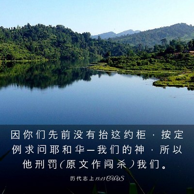 Picture 03 - 历 代 志 上 15:13 CUVS - 因 你 们 先 前 没 有 抬 这 约 柜 ， - Bible Verse Picture