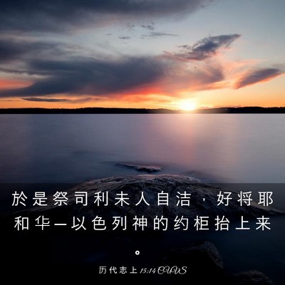 Picture 03 - 历 代 志 上 15:14 CUVS - 於 是 祭 司 利 未 人 自 洁 ， 好 将 - Bible Verse Picture