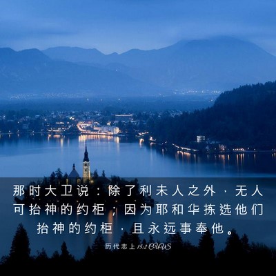 Picture 03 - 历 代 志 上 15:2 CUVS - 那 时 大 卫 说 ： 除 了 利 未 人 之 - Bible Verse Picture