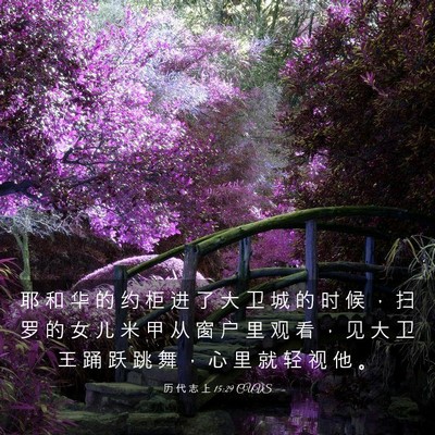 Picture 03 - 历 代 志 上 15:29 CUVS - 耶 和 华 的 约 柜 进 了 大 卫 城 的 - Bible Verse Picture