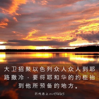 Picture 03 - 历 代 志 上 15:3 CUVS - 大 卫 招 聚 以 色 列 众 人 众 人 到 - Bible Verse Picture