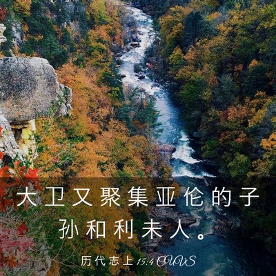 Picture 03 - 历 代 志 上 15:4 CUVS - 大 卫 又 聚 集 亚 伦 的 子 孙 和 利 - Bible Verse Picture
