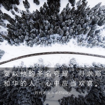 Picture 03 - 历 代 志 上 16:10 CUVS - 要 以 他 的 圣 名 夸 耀 ； 寻 求 耶 - Bible Verse Picture