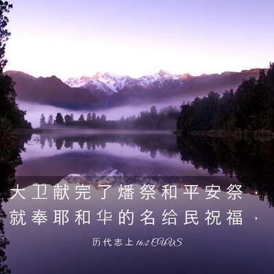 Picture 03 - 历 代 志 上 16:2 CUVS - 大 卫 献 完 了 燔 祭 和 平 安 祭 ， - Bible Verse Picture
