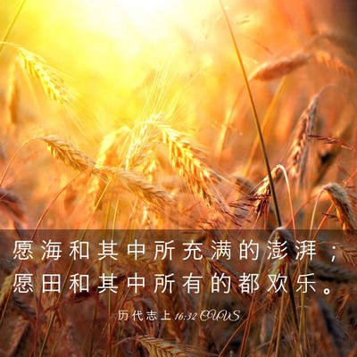 Picture 03 - 历 代 志 上 16:32 CUVS - 愿 海 和 其 中 所 充 满 的 澎 湃 ； - Bible Verse Picture