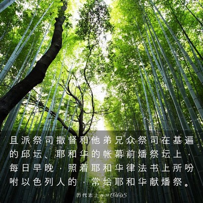 Picture 03 - 历 代 志 上 16:39 CUVS - 且 派 祭 司 撒 督 和 他 弟 兄 众 祭 - Bible Verse Picture