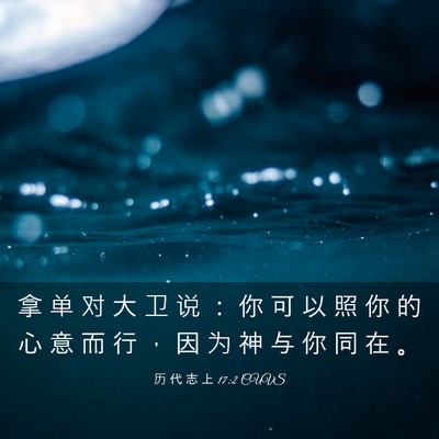 Picture 03 - 历 代 志 上 17:2 CUVS - 拿 单 对 大 卫 说 ： 你 可 以 照 你 - Bible Verse Picture