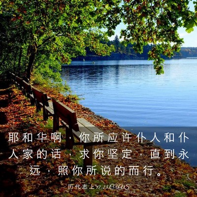 Picture 03 - 历 代 志 上 17:23 CUVS - 耶 和 华 啊 ， 你 所 应 许 仆 人 和 - Bible Verse Picture