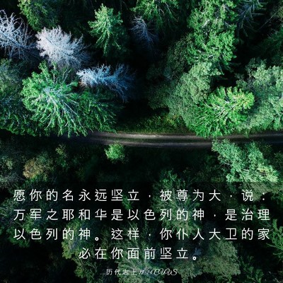 Picture 03 - 历 代 志 上 17:24 CUVS - 愿 你 的 名 永 远 坚 立 ， 被 尊 为 - Bible Verse Picture