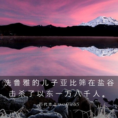 Picture 03 - 历 代 志 上 18:12 CUVS - 洗 鲁 雅 的 儿 子 亚 比 筛 在 盐 谷 - Bible Verse Picture