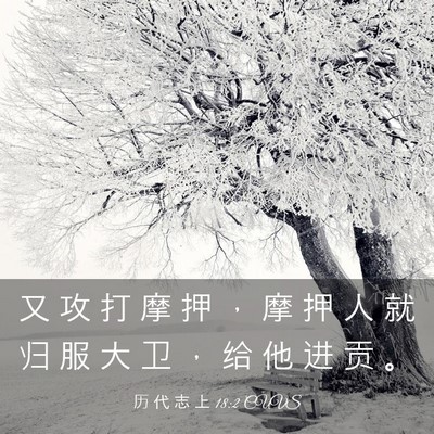 Picture 03 - 历 代 志 上 18:2 CUVS - 又 攻 打 摩 押 ， 摩 押 人 就 归 服 - Bible Verse Picture