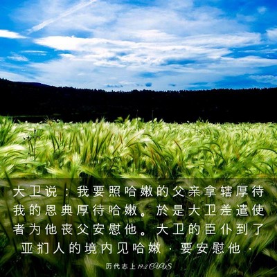 Picture 03 - 历 代 志 上 19:2 CUVS - 大 卫 说 ： 我 要 照 哈 嫩 的 父 亲 - Bible Verse Picture