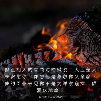 Picture 03 - 历 代 志 上 19:3 CUVS - 但 亚 扪 人 的 首 领 对 哈 嫩 说 ： - Bible Verse Picture