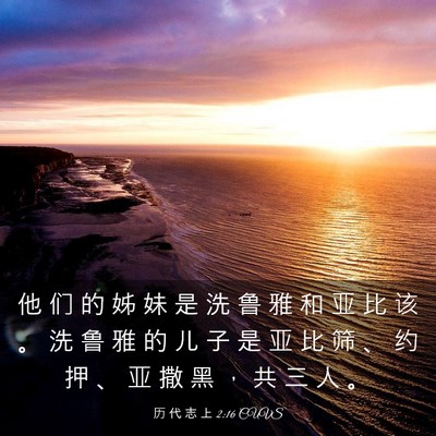 Picture 03 - 历 代 志 上 2:16 CUVS - 他 们 的 姊 妹 是 洗 鲁 雅 和 亚 比 - Bible Verse Picture